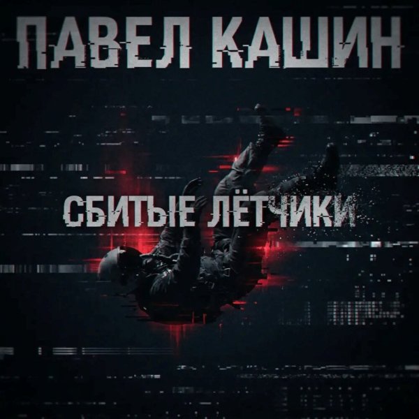Павел Кашин - Сбитые лётчики