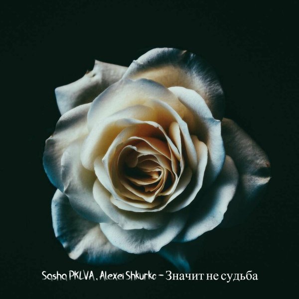 Sasha PKLVA feat. Alexei Shkurko - Значит Не Судьба