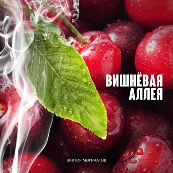 Виктор Могилатов - Вишневая Аллея (NEW 2022)