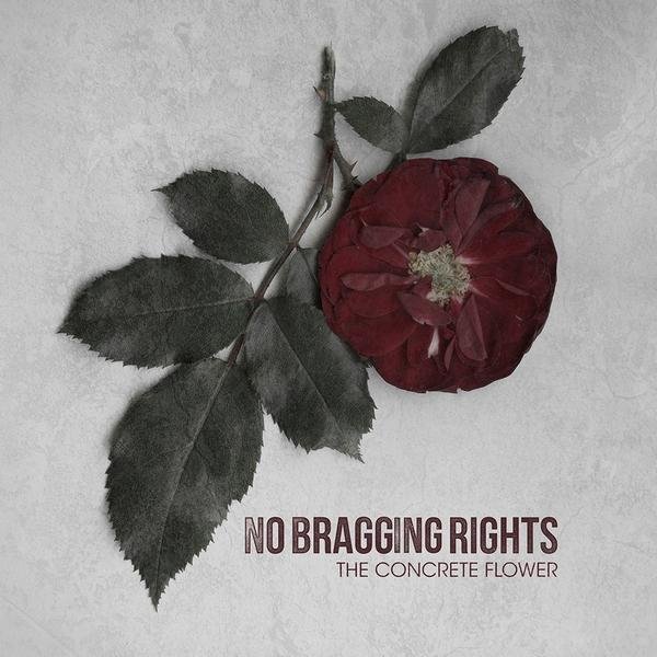 No Bragging Rights - DamageRecover