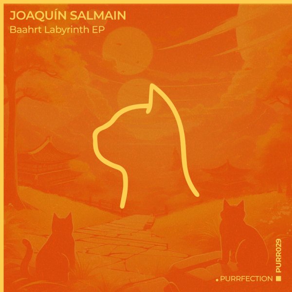 Joaquín Salmain - Labyrinth