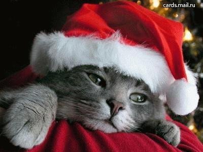 Ringtone НОВОГОДНИЙ 2012 - Лучший Новогодний рингтон