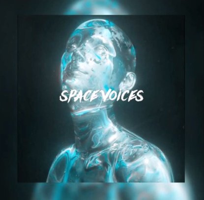 Ray Orion - Community Voices