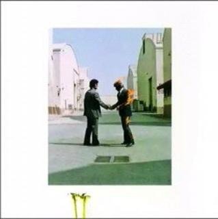 Pink Floyd - 04 Shine On You Crazy Diamond Parts 19