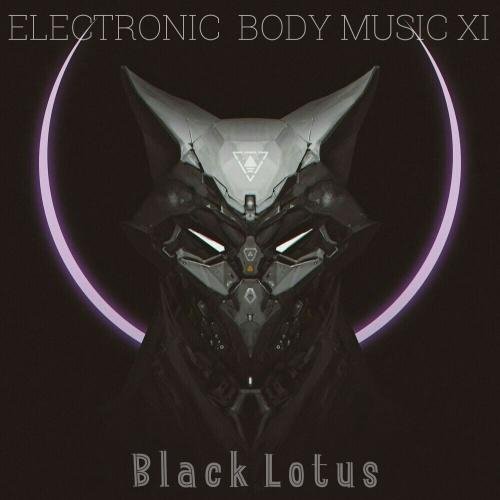 EBM Industrial Aggrotech Dark Electro - Mix