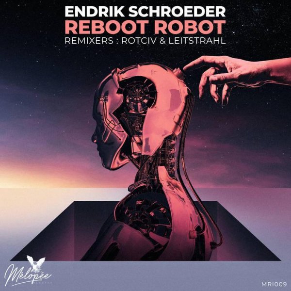 Endrik Schroeder - Reboot Robot