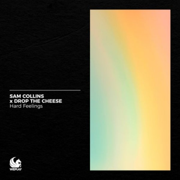 Sam Collins x Drop The Cheese - Hard Feelings (Extended Mix)