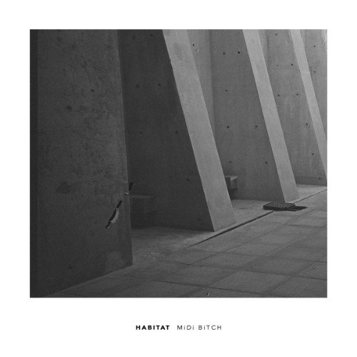 MiDi Bitch - Habitat