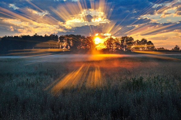 eexxttaazzyy - вновь за собой нас манит рассвет