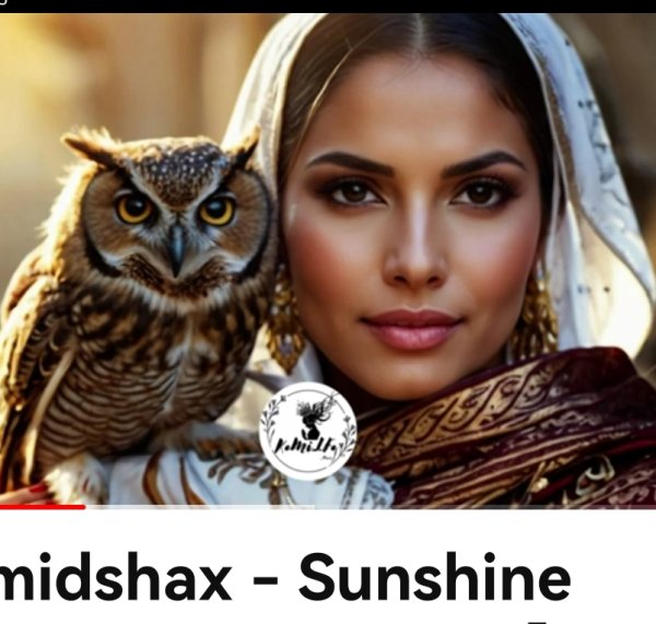 Hamidshax - Sunshine