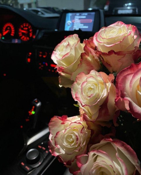 ANIVAR - Твоя Любовь