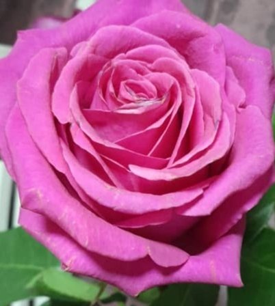 ЭЛЬДАРОВА - Мой любимый и родной 2023