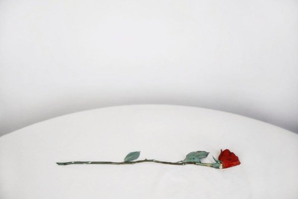 nicebeatzprod - вены резались сами