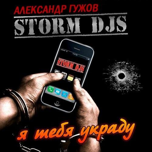 Storm DJs  Александр Гужов - Я тебя украду Cover Radio mix