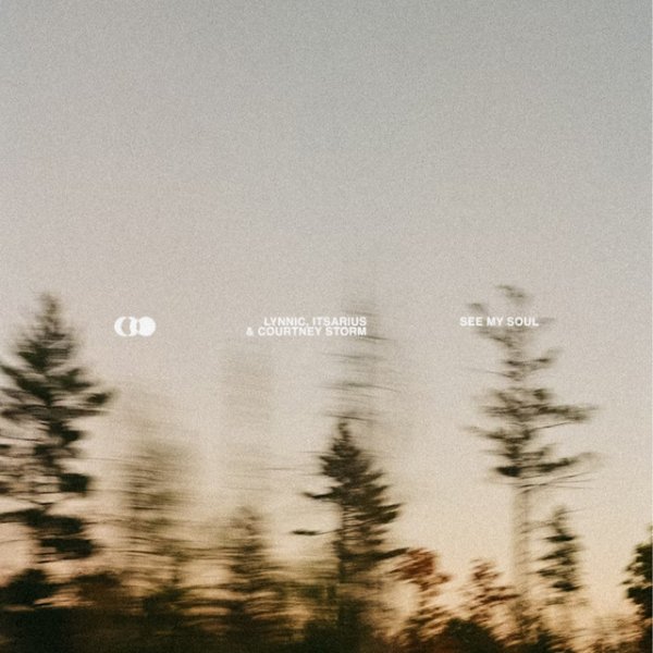 Lynnic/ItsArius/Courtney Storm - See My Soul