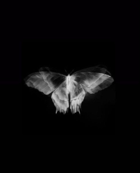 Janaga &amp; Tenca - Мотылёк