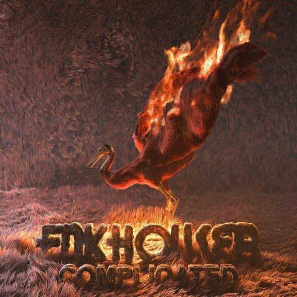 FNKHOUSER - Complicated