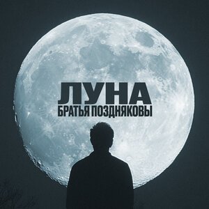 Братья Поздняковы, Ludwig van Beethoven - Луна