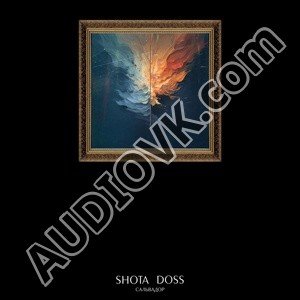 SHOTA - Сальвадор