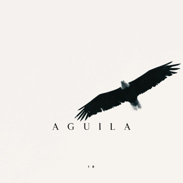 Xilef - Aguila