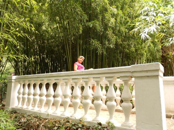 Shamso - Разлюбила