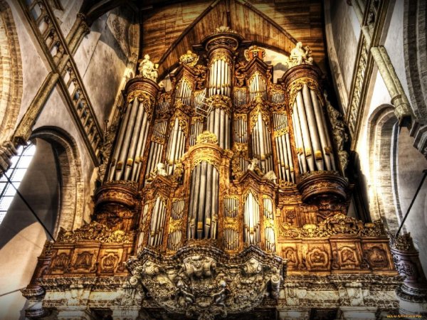 krasivaya_melodiya - _Organ_