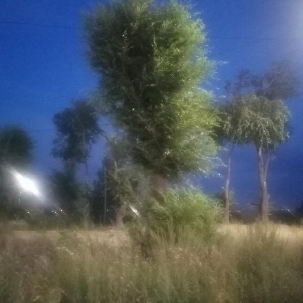 Неизвестный - Без названия