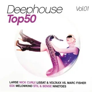 VA - Deephouse Top 50 Vol.1 CD2 (Mixed by dj Deep)