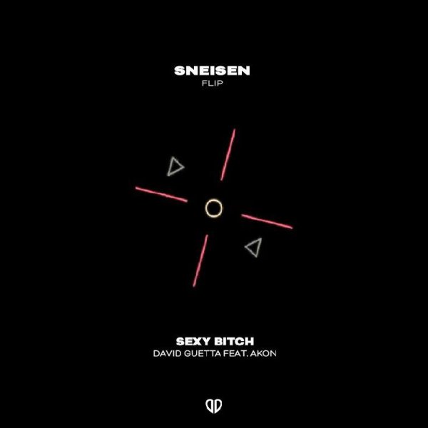 David Guetta ft. Akon - Sexy Bitch (SNEISEN FLIP)