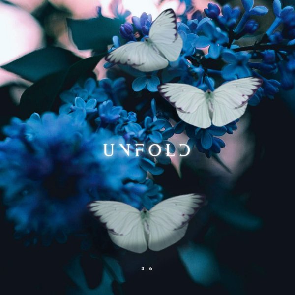 Xilef - Unfold
