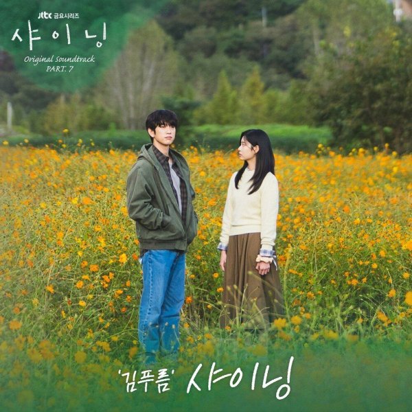 KIM PUREUM - Shining