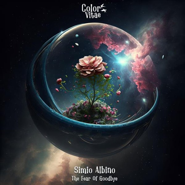 Simio Albino - Adrift