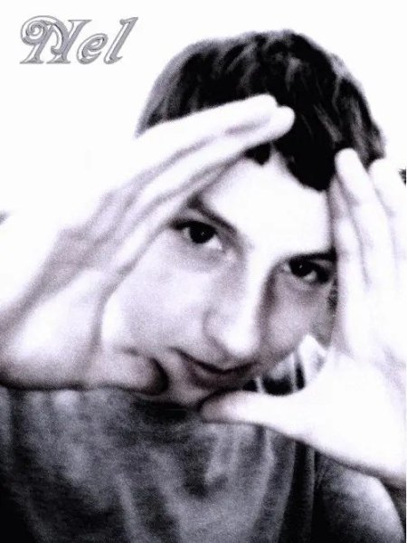 NEL - Le Printemps (2004)