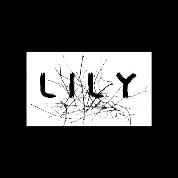 Processor - L I L Y