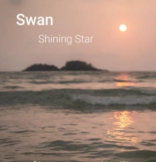 Swan - Shining Star (80's Italo Disco Music 2022)