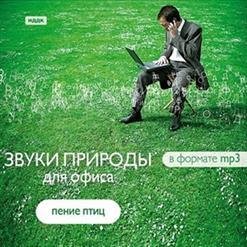 Звуки природы - Пеночка теньковка