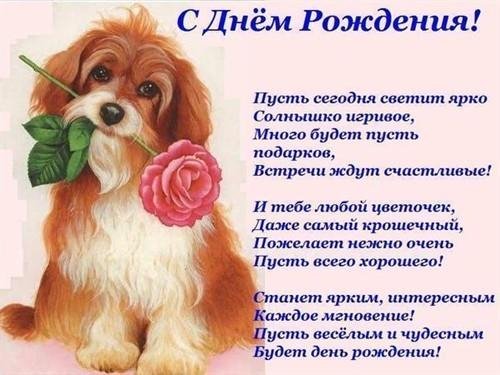 Инкогнито - Володя поздравляю