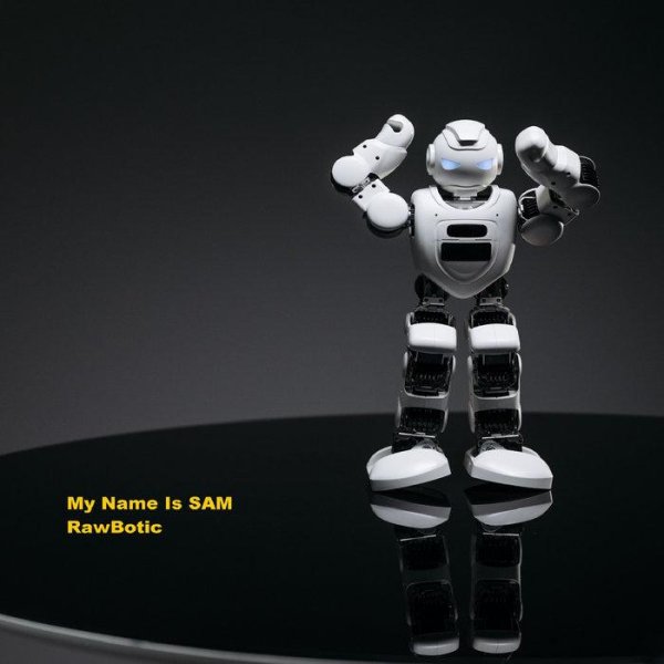 Rawbotic - My Name Is SAM