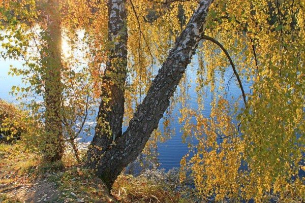 Академический Симфонический Оркестр СССР, дир. Евгений Светланов - 2. Valse