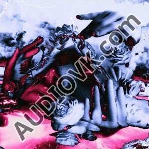 RVIDXR - ANAMORPH