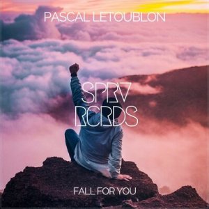 22Bullets &amp; Pascal Letoublon feat. MERYLL - Something In The Air (Extended Mix)