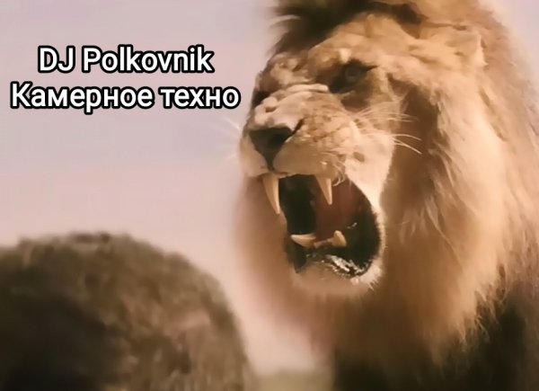 DJ Polkovnik - Камерное техно