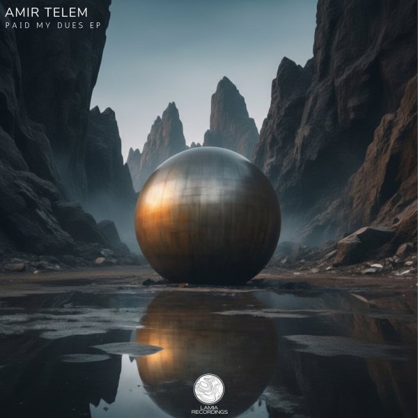 Amir Telem - Paid My Dues (Original Mix)