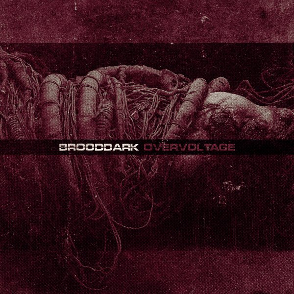 Brooddark - Metamorphosis
