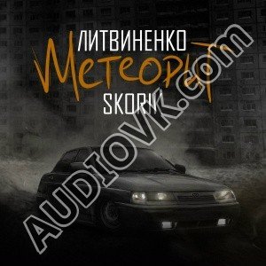 Литвиненко - Метеорит