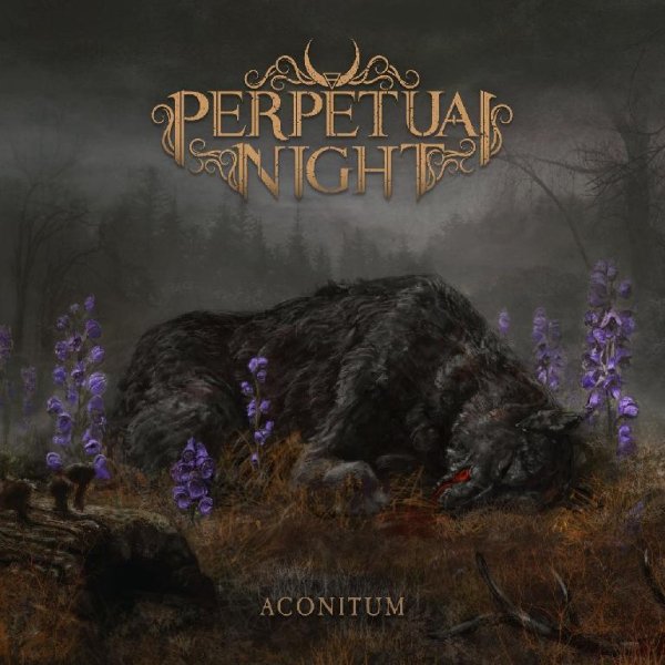 Perpetual Night - Antimatter