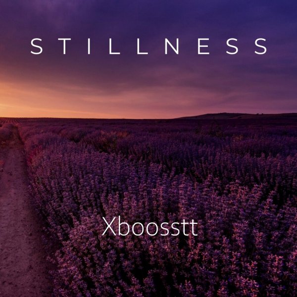 Xboosstt - Stillness (Original Mix)