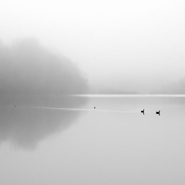 Omar Salah - Sibelius - Serenade No. 2 In G Minor, Op69b