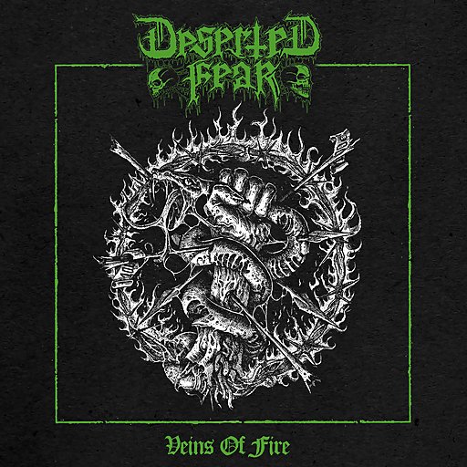 Deserted Fear - Storm Of Resistance
