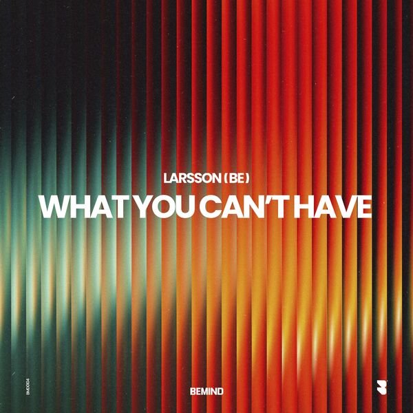 Larsson (BE) - What You Cant Have